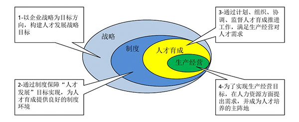 人才發(fā)展體系