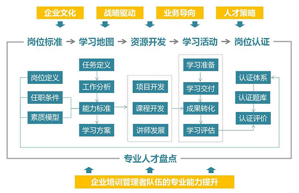 人才發(fā)展鏈條