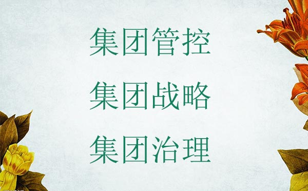 集團(tuán)管控、集團(tuán)戰(zhàn)略以及集團(tuán)治理三者的區(qū)別