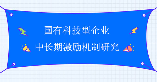 國有科技型企業(yè)中長期激勵機制研究