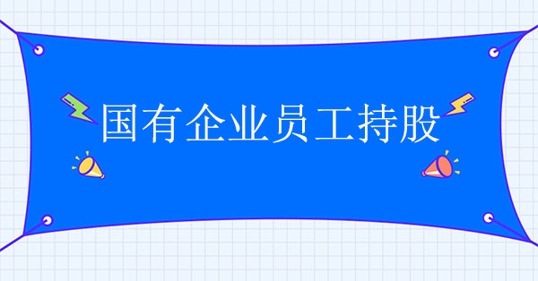 國(guó)企改革咨詢：國(guó)有企業(yè)員工持股解讀