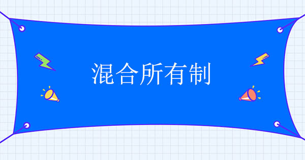 混合所有制改革咨詢公司：對混合所有制的認識與研究