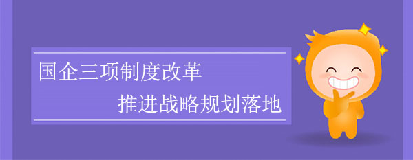 國企三項制度改革，推進戰(zhàn)略規(guī)劃落地